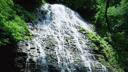 先进高端